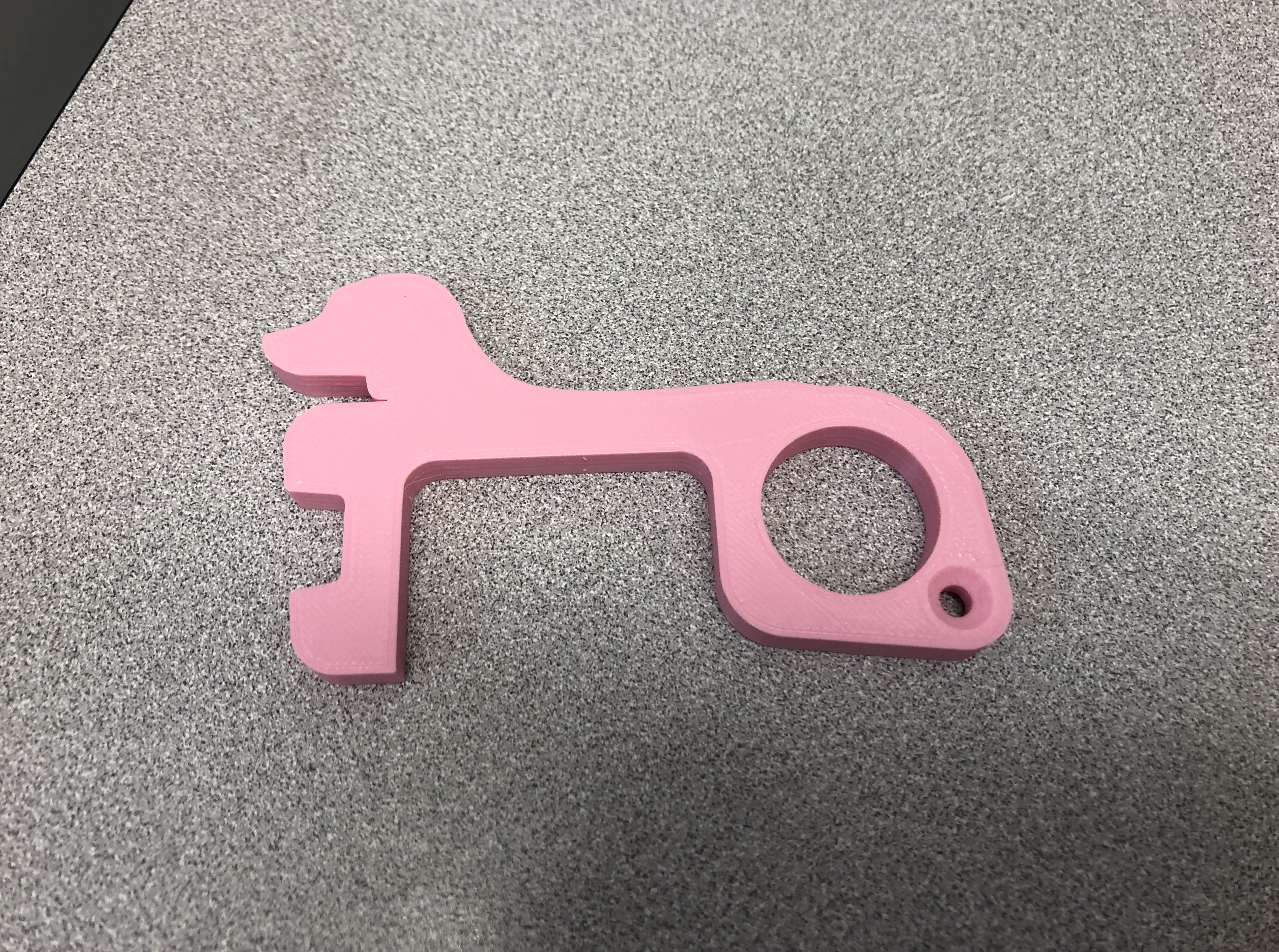 Bubble Gum Pink | Dog